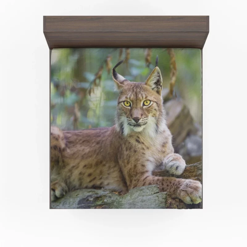 Beautiful Lynx Enigmatic Stare Fitted Sheet 1