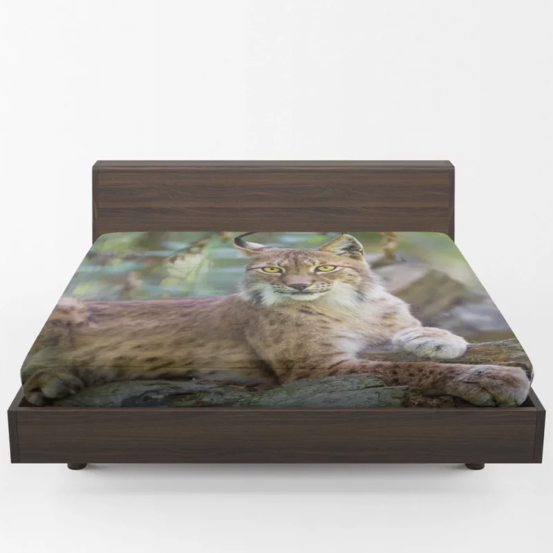 Beautiful Lynx Enigmatic Stare Fitted Sheet