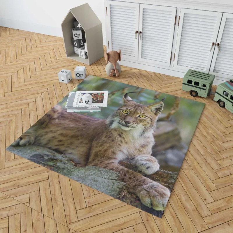 Beautiful Lynx Enigmatic Stare Rug 1