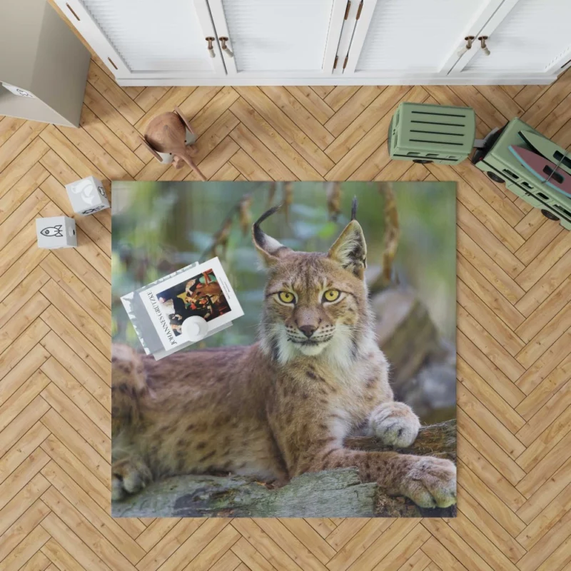 Beautiful Lynx Enigmatic Stare Rug