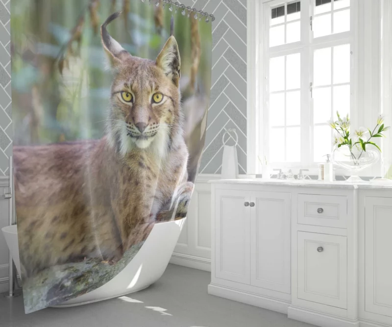 Beautiful Lynx Enigmatic Stare Shower Curtain 1