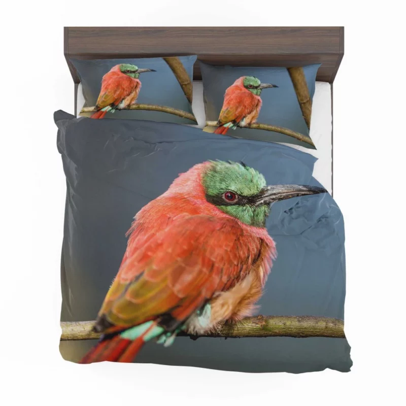 Bee-eater Aerial Feast Avian Acrobat Bedding Set 1