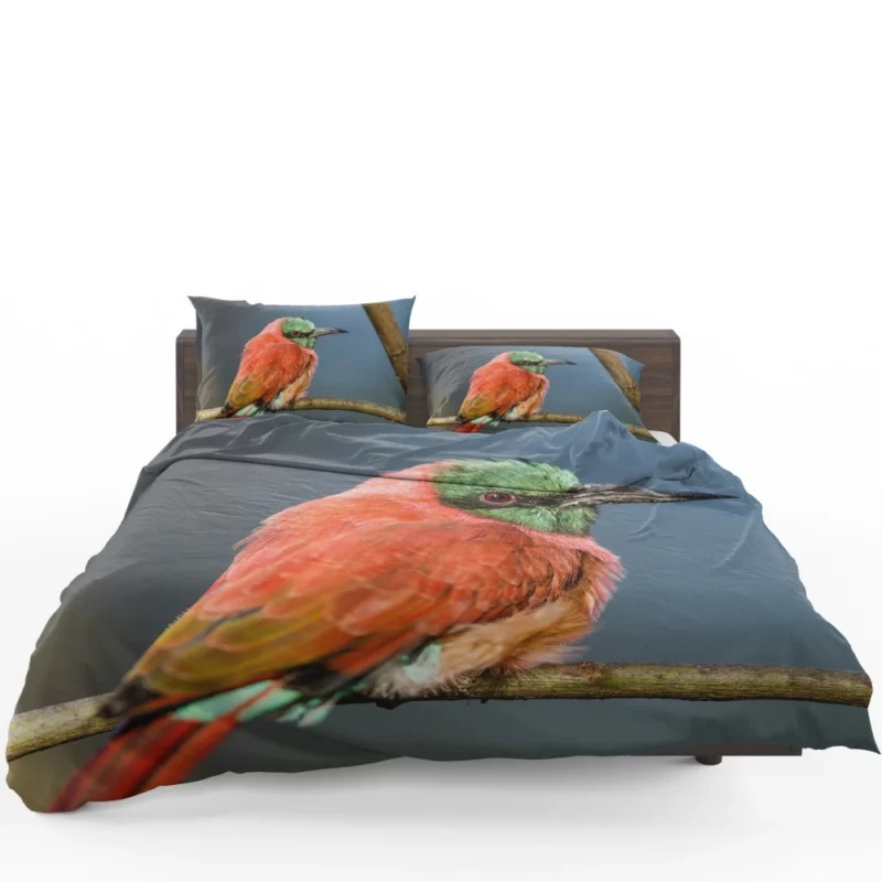 Bee-eater Aerial Feast Avian Acrobat Bedding Set