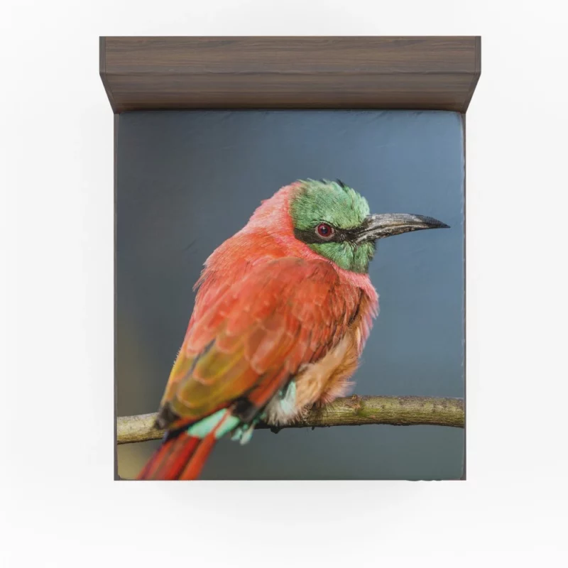 Bee-eater Aerial Feast Avian Acrobat Fitted Sheet 1