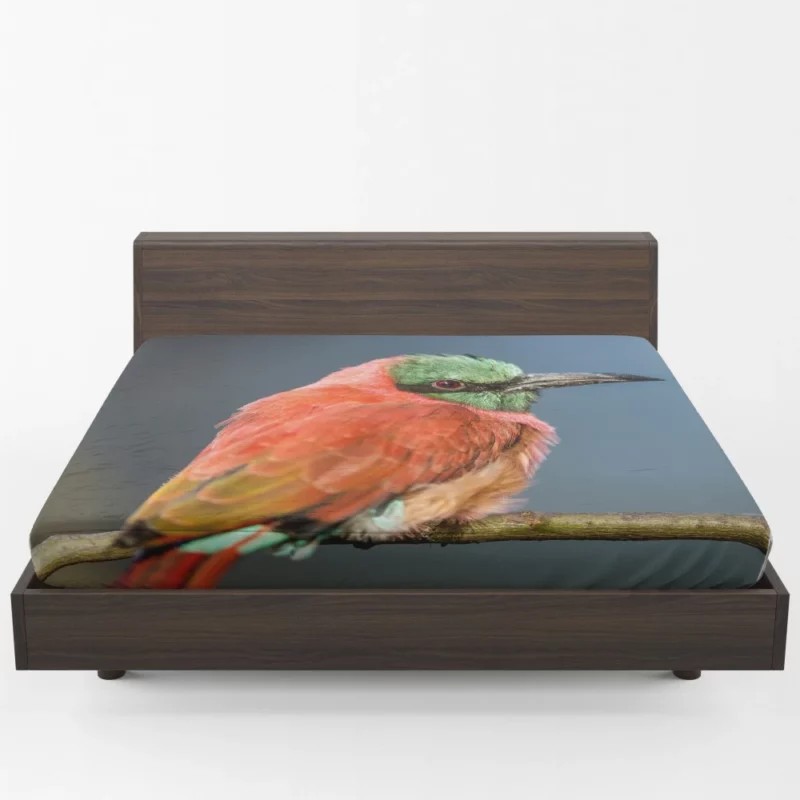 Bee-eater Aerial Feast Avian Acrobat Fitted Sheet