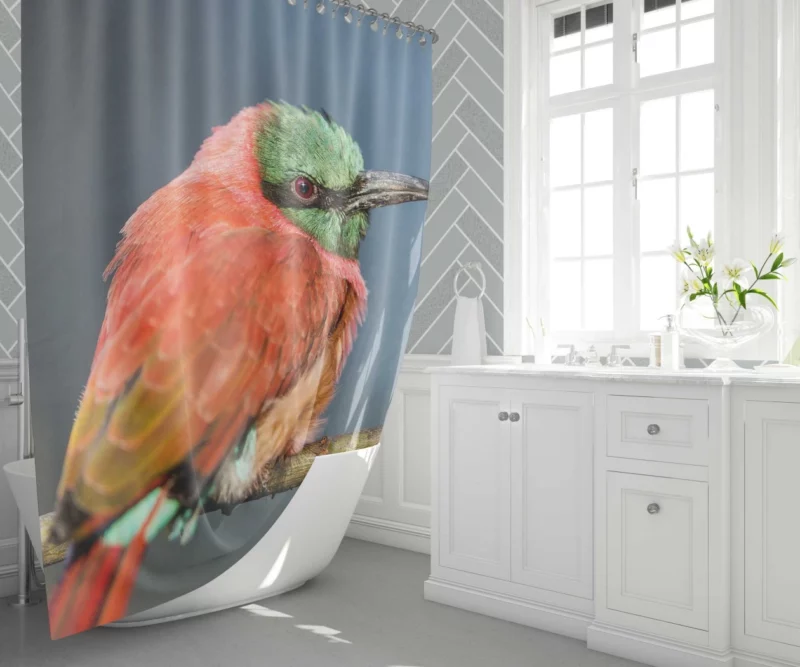 Bee-eater Aerial Feast Avian Acrobat Shower Curtain 1