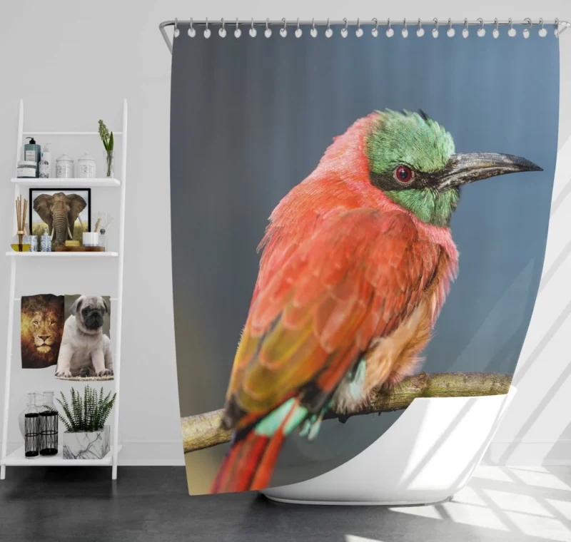 Bee-eater Aerial Feast Avian Acrobat Shower Curtain