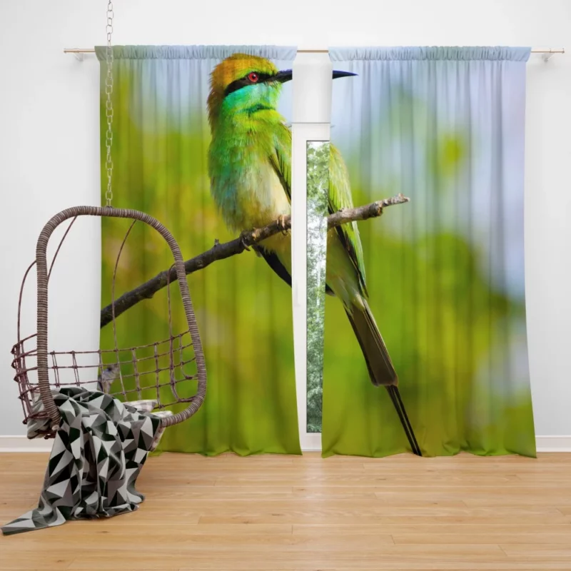 Bee-eater Branch Pose Vibrant Bird Curtain