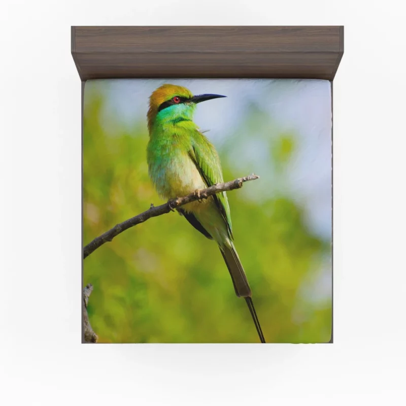 Bee-eater Branch Pose Vibrant Bird Fitted Sheet 1