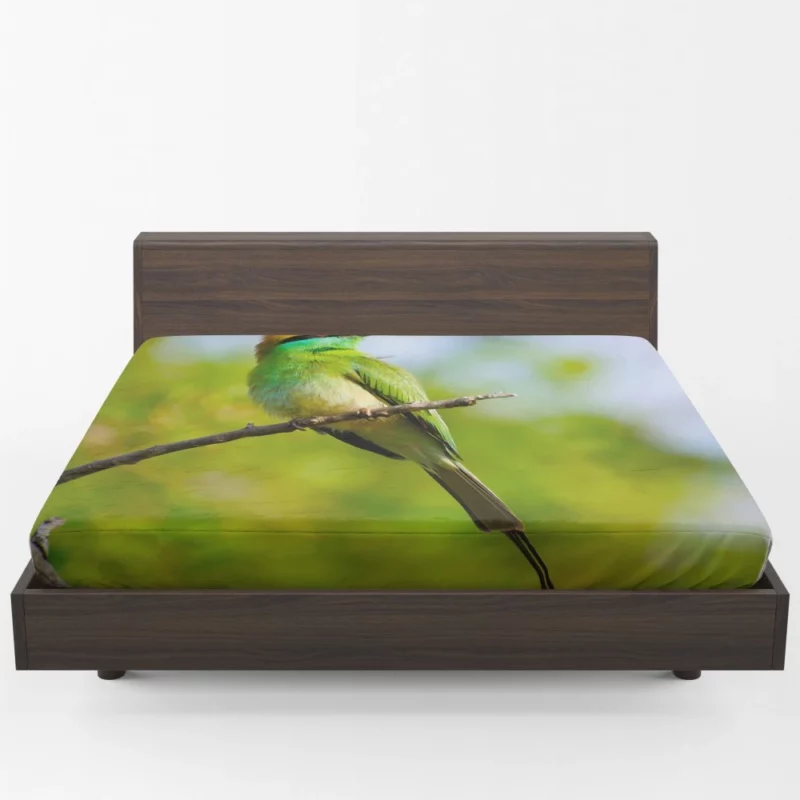 Bee-eater Branch Pose Vibrant Bird Fitted Sheet