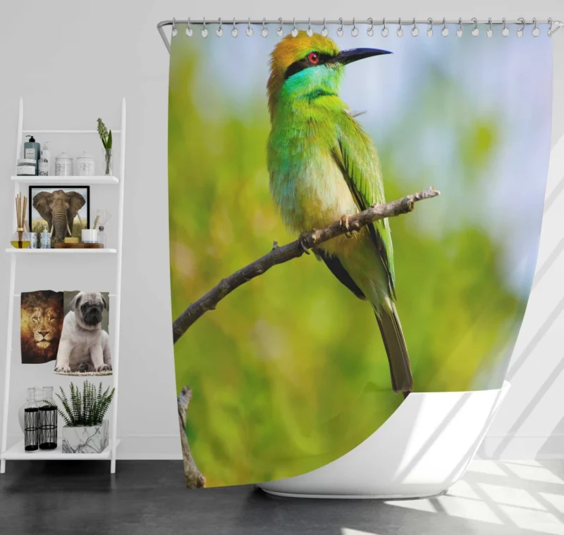 Bee-eater Branch Pose Vibrant Bird Shower Curtain