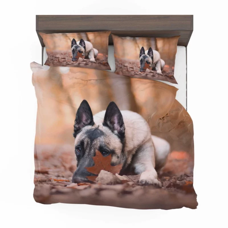 Belgian Malinois Fall Stare Leafy Elegance Bedding Set 1