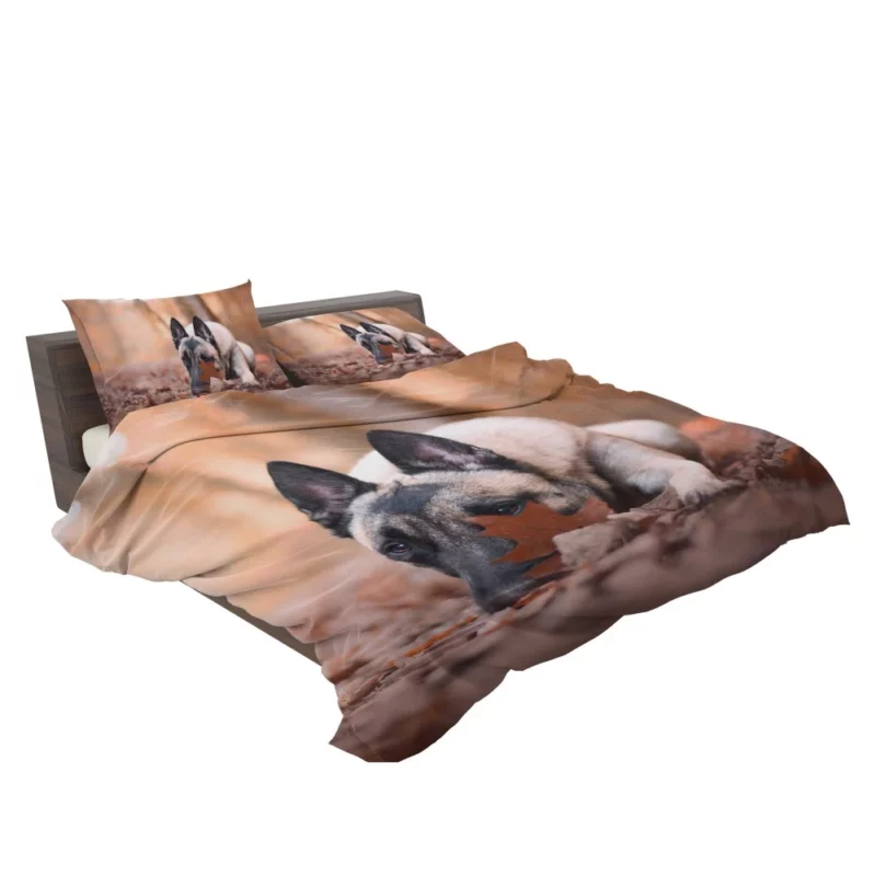 Belgian Malinois Fall Stare Leafy Elegance Bedding Set 2