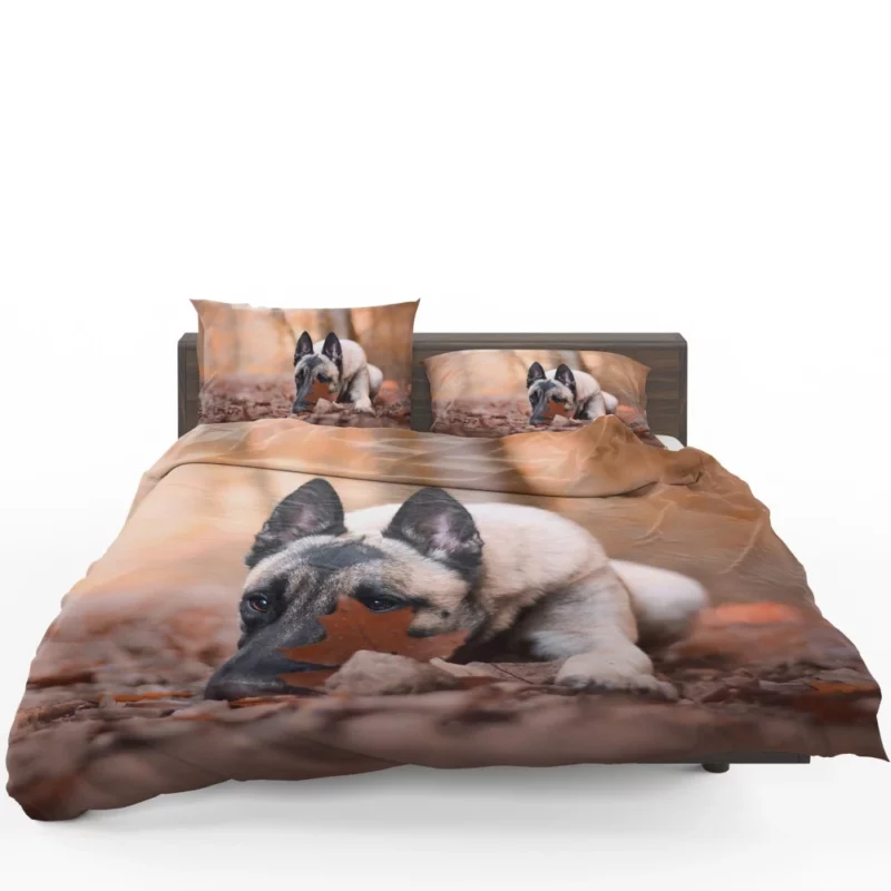 Belgian Malinois Fall Stare Leafy Elegance Bedding Set