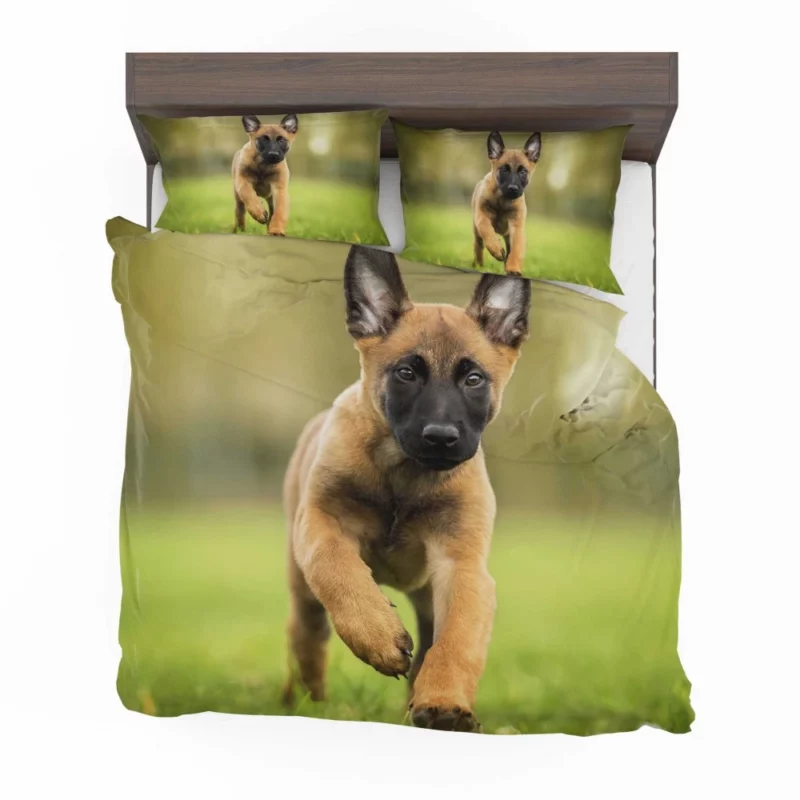 Belgian Malinois Puppy Innocent Joy Bedding Set 1