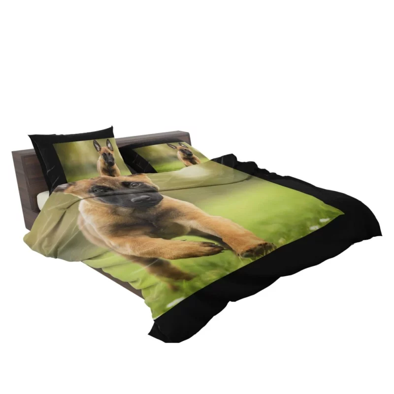 Belgian Malinois Puppy Innocent Joy Bedding Set 2