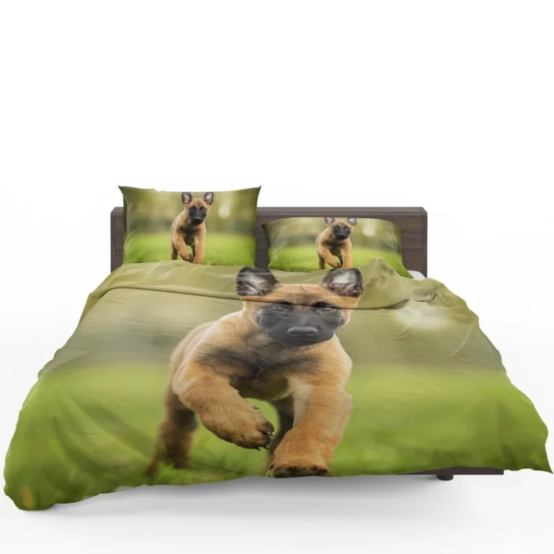 Belgian Malinois Puppy Innocent Joy Bedding Set