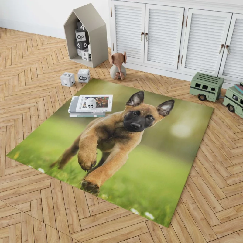 Belgian Malinois Puppy Innocent Joy Rug 1