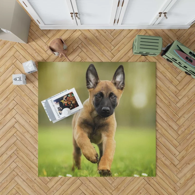 Belgian Malinois Puppy Innocent Joy Rug