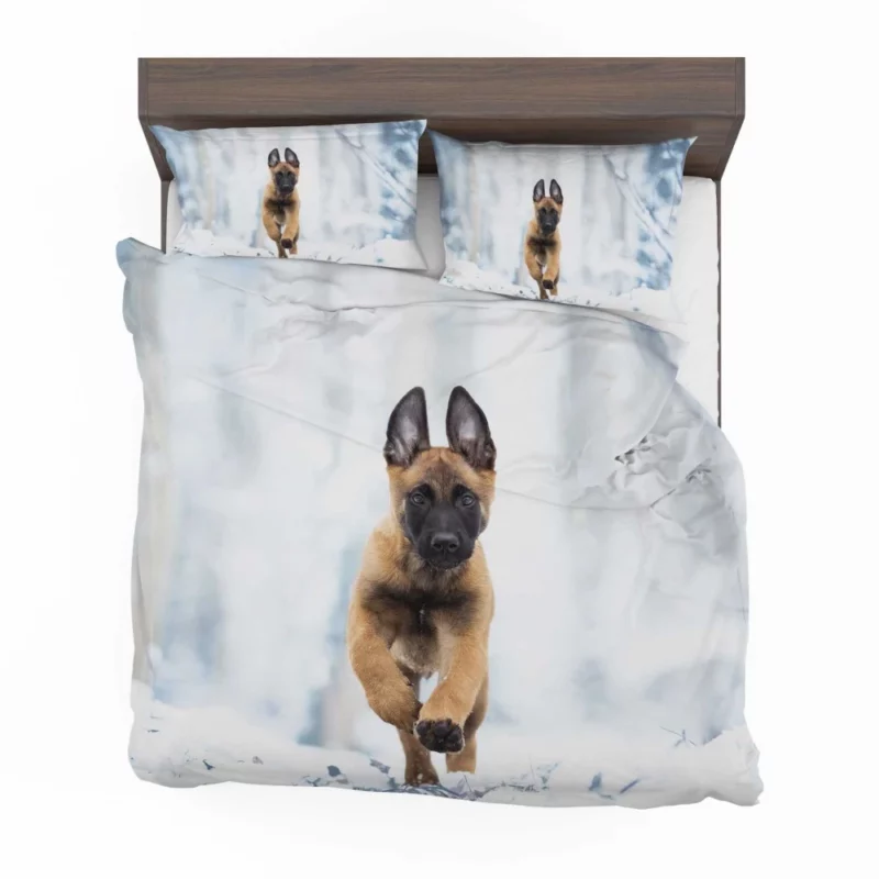 Belgian Malinois Puppy Playful Charm Bedding Set 1