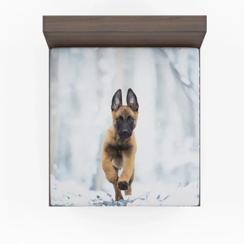 Belgian Malinois Puppy Playful Charm Fitted Sheet 1