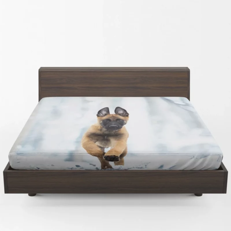 Belgian Malinois Puppy Playful Charm Fitted Sheet