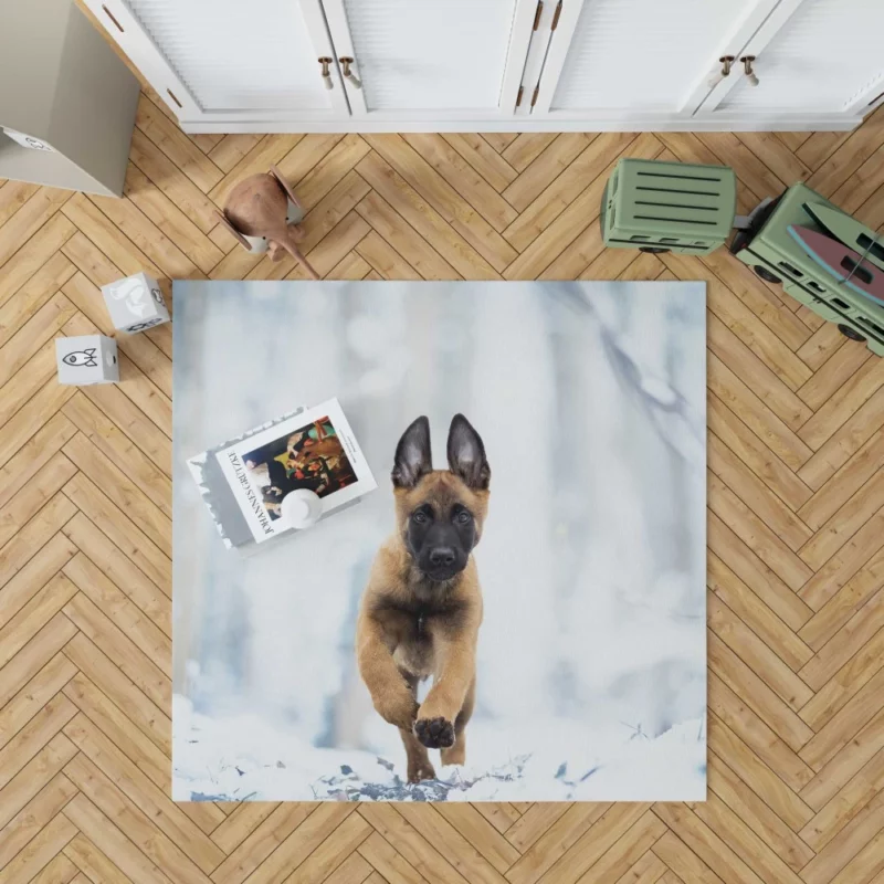 Belgian Malinois Puppy Playful Charm Rug