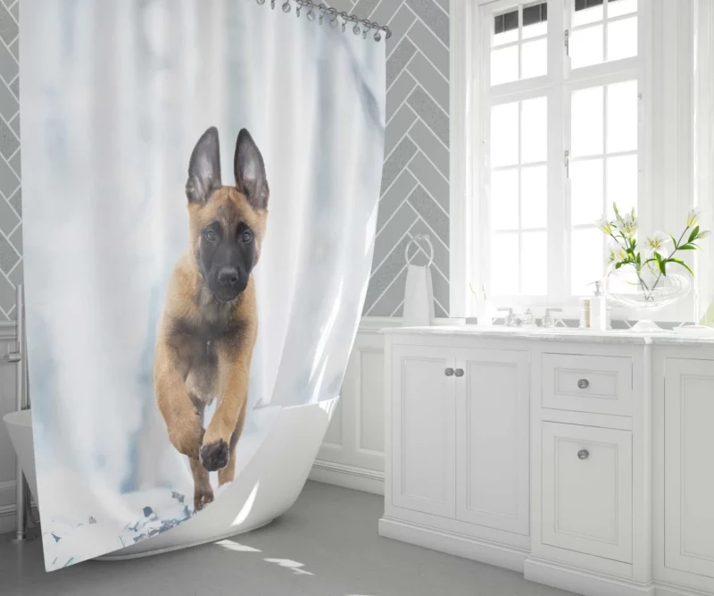 Belgian Malinois Puppy Playful Charm Shower Curtain 1