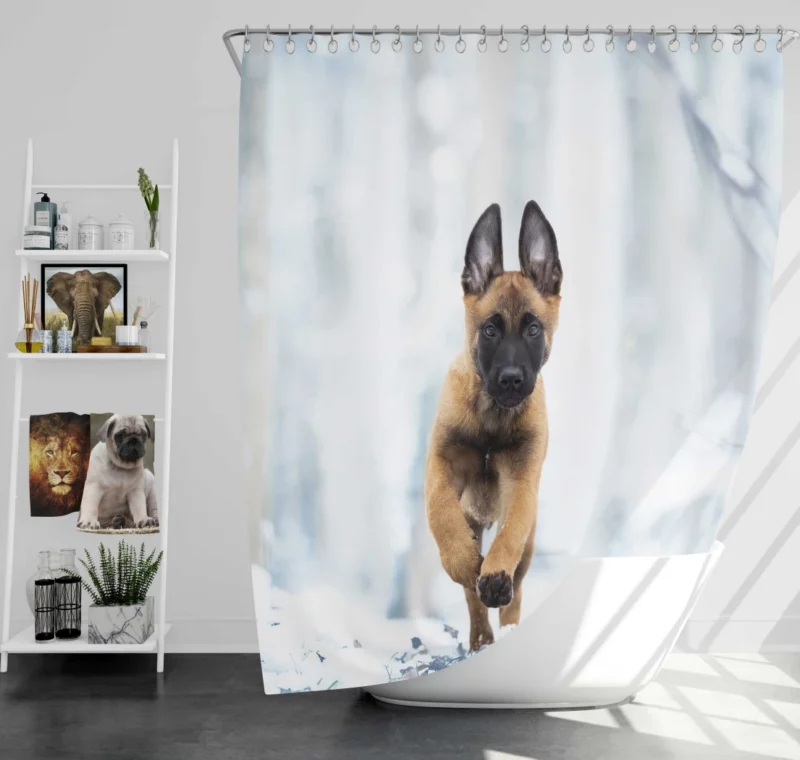 Belgian Malinois Puppy Playful Charm Shower Curtain