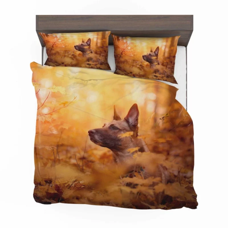 Belgian Malinois in Autumn Furry Elegance Bedding Set 1