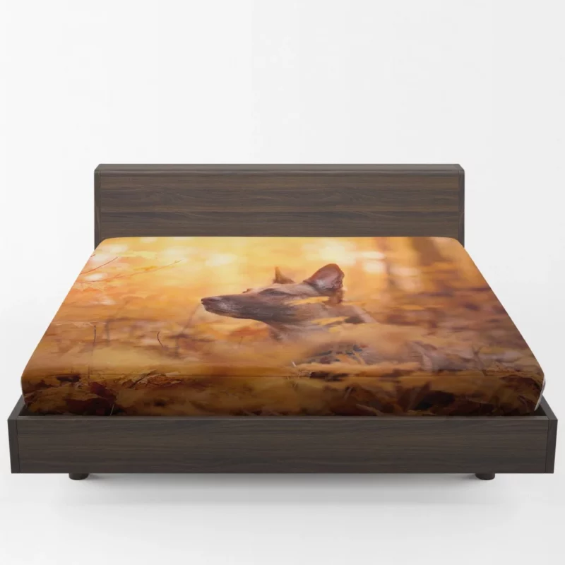 Belgian Malinois in Autumn Furry Elegance Fitted Sheet