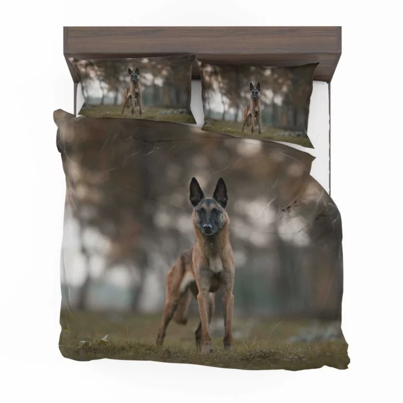 Belgian Malinois in Autumn Glow Bedding Set 1