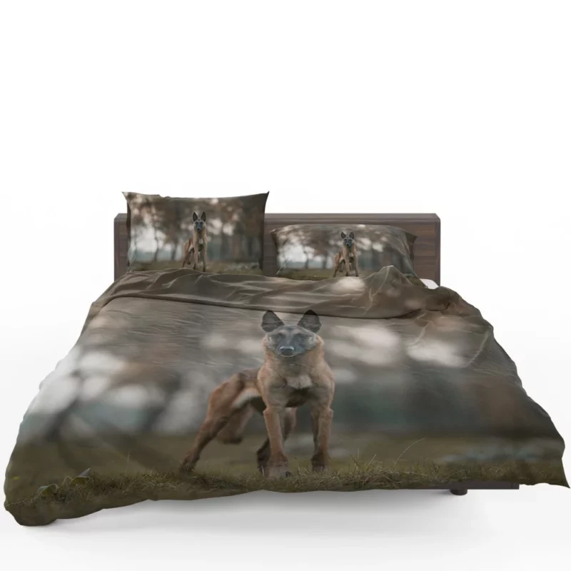 Belgian Malinois in Autumn Glow Bedding Set