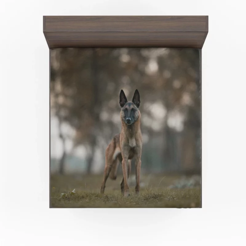 Belgian Malinois in Autumn Glow Fitted Sheet 1