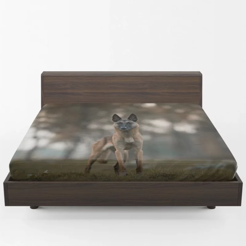 Belgian Malinois in Autumn Glow Fitted Sheet