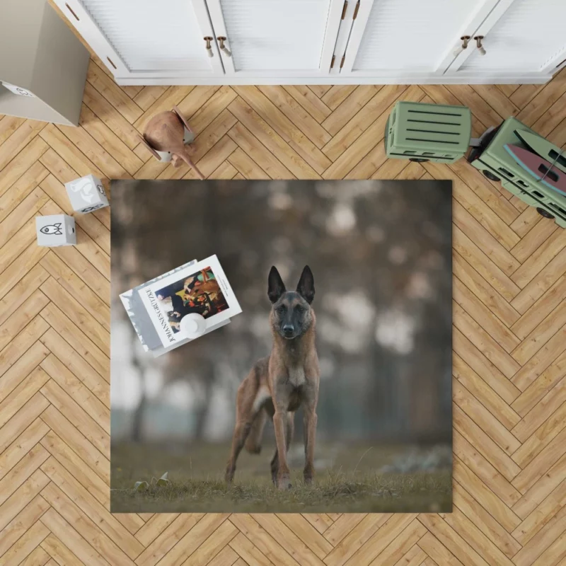 Belgian Malinois in Autumn Glow Rug