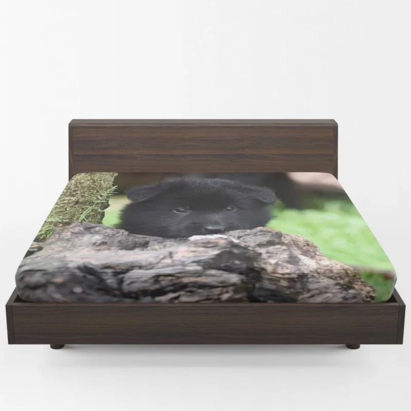 Belgian Shepherd Puppy Curious Innocence Fitted Sheet