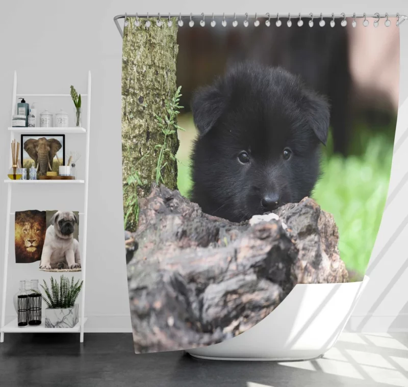 Belgian Shepherd Puppy Curious Innocence Shower Curtain