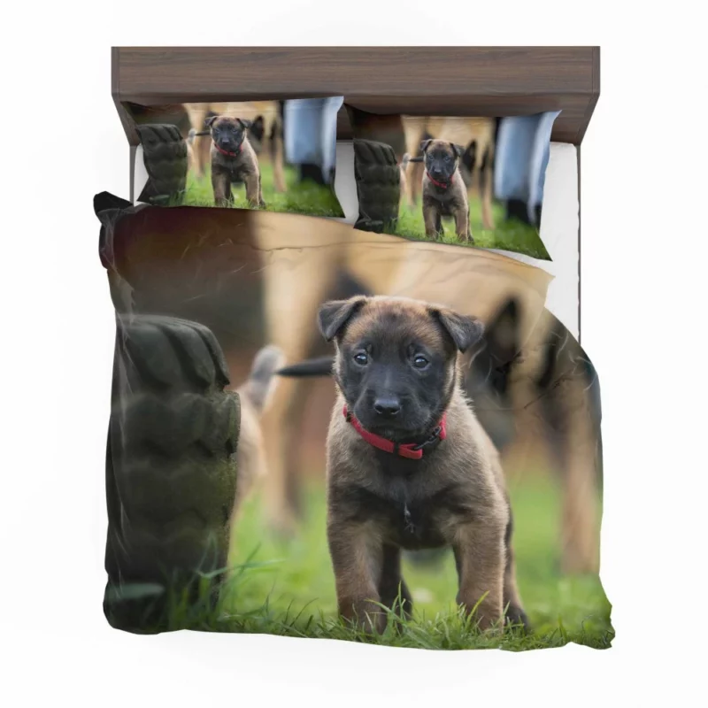 Belgian Shepherd Puppy Innocence Baby Charm Bedding Set 1