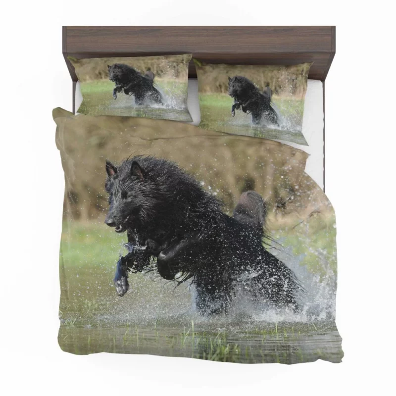 Belgian Shepherd Splash of Playfulness Bedding Set 1