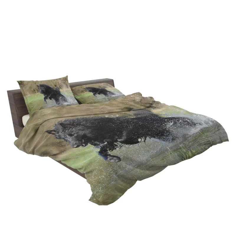 Belgian Shepherd Splash of Playfulness Bedding Set 2