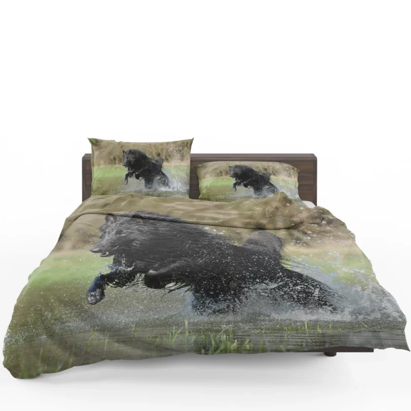 Belgian Shepherd Splash of Playfulness Bedding Set