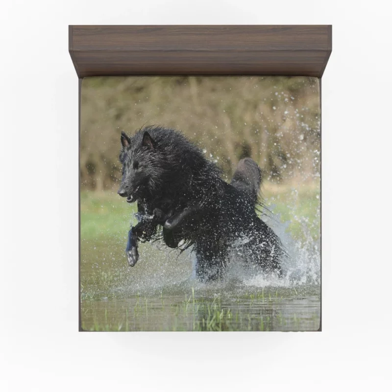 Belgian Shepherd Splash of Playfulness Fitted Sheet 1