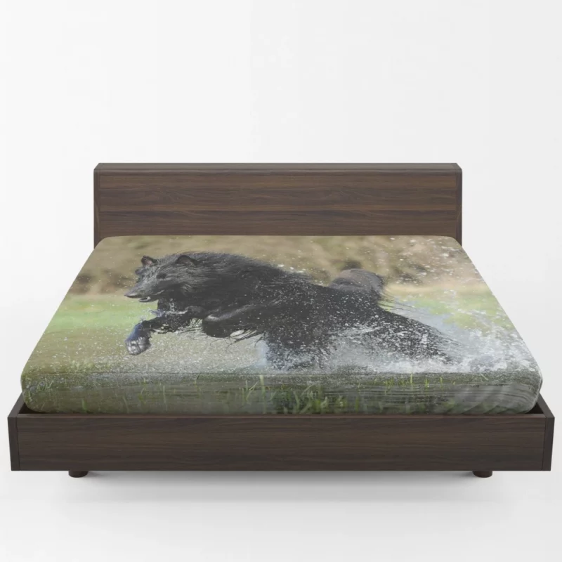 Belgian Shepherd Splash of Playfulness Fitted Sheet