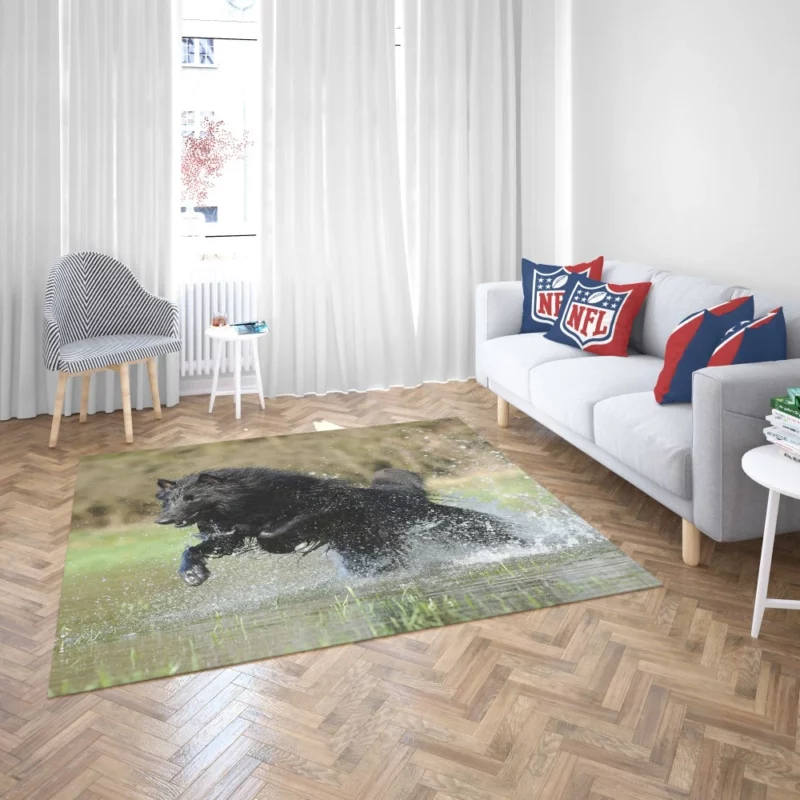 Belgian Shepherd Splash of Playfulness Rug 2