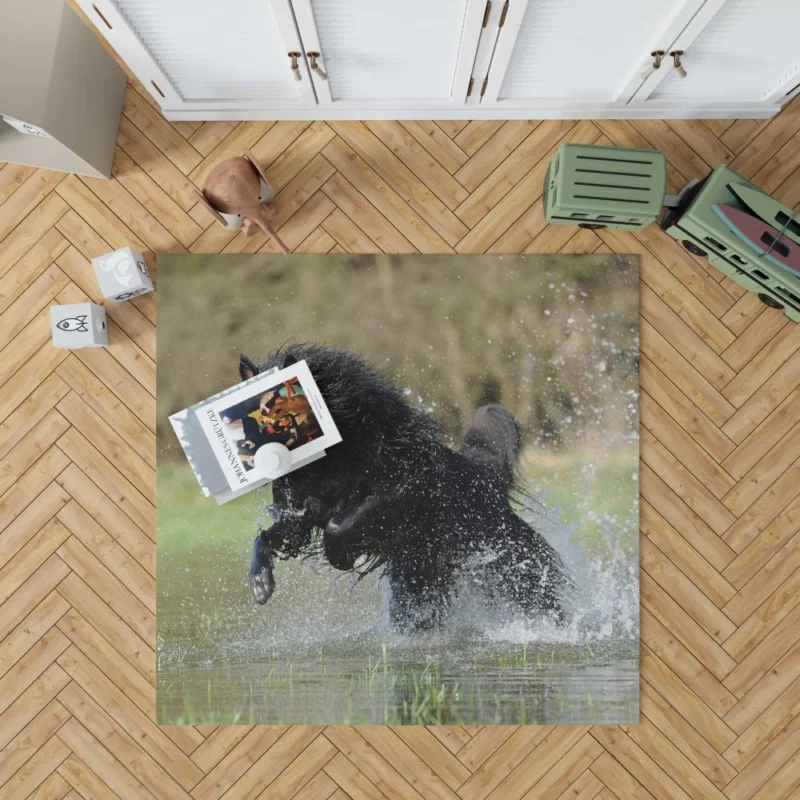 Belgian Shepherd Splash of Playfulness Rug