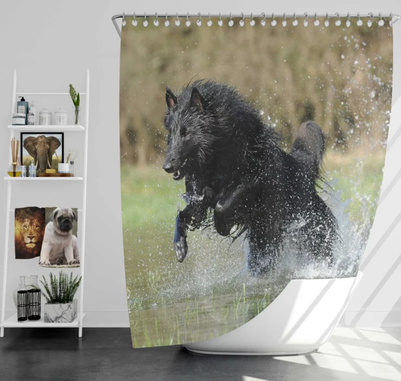 Belgian Shepherd Splash of Playfulness Shower Curtain