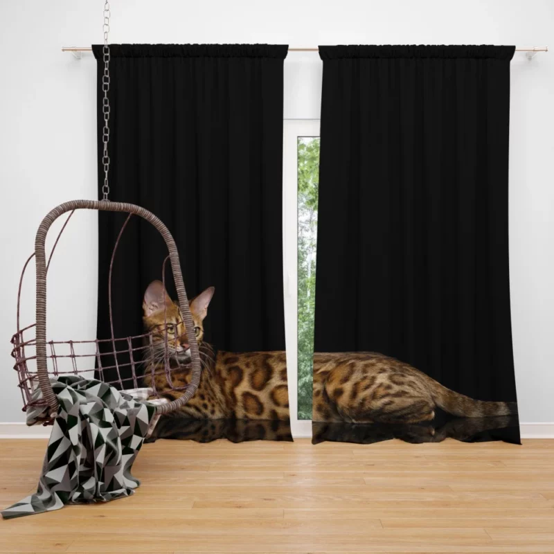 Bengal Cat Reflective Gaze Mysterious Charm Curtain