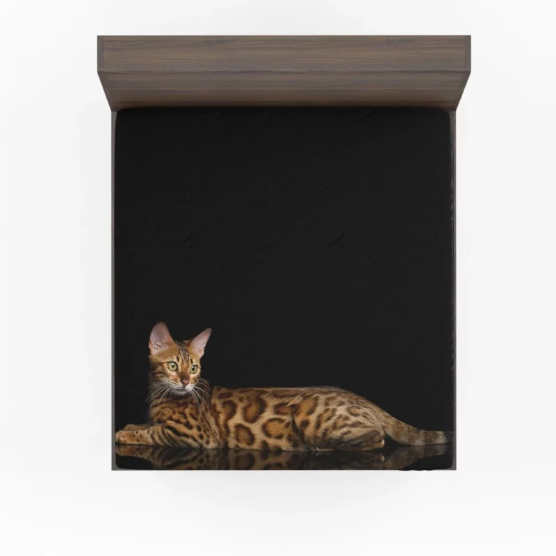 Bengal Cat Reflective Gaze Mysterious Charm Fitted Sheet 1