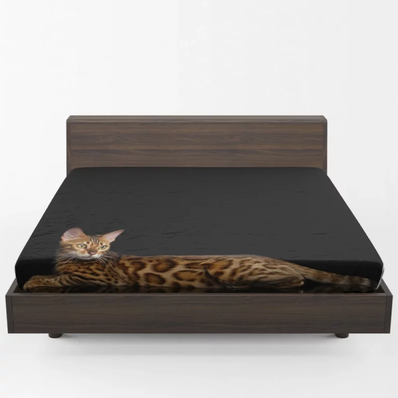 Bengal Cat Reflective Gaze Mysterious Charm Fitted Sheet